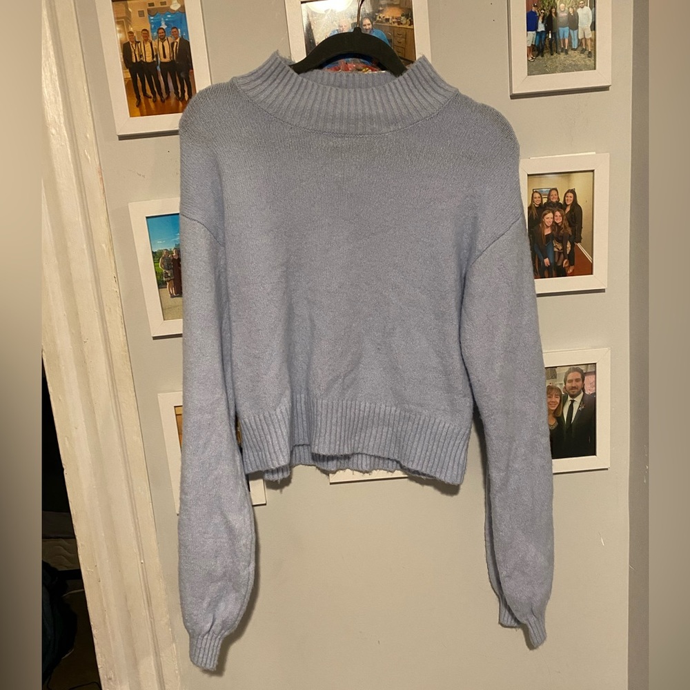 WILD FABLE powder blue cropped turtle neck